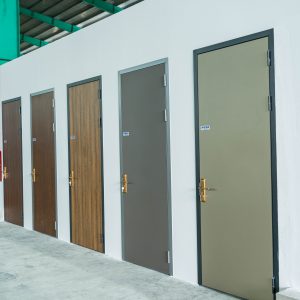 cửa đi tấm than tre 8mm